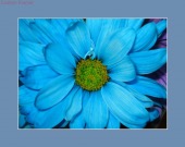 lower back pain image healthtips images